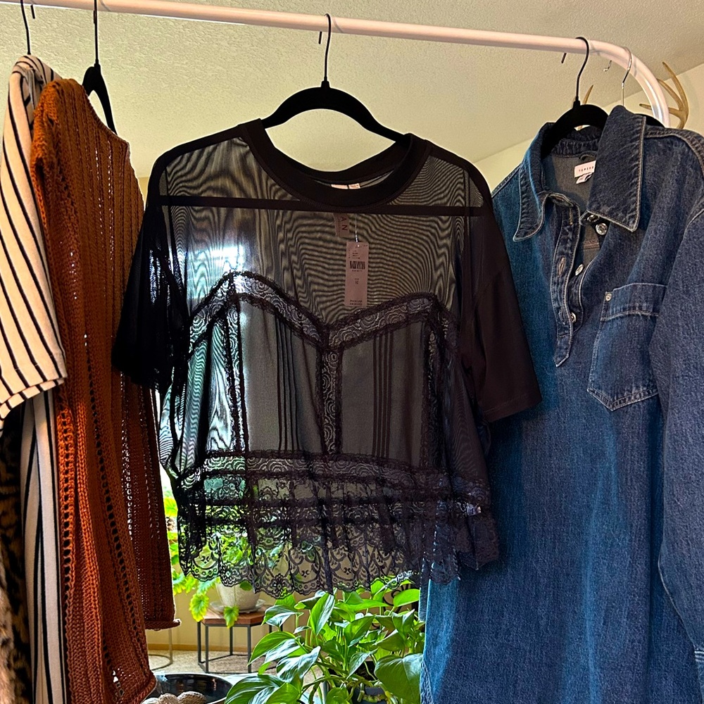 Anthropologie Sheer and Lace Top